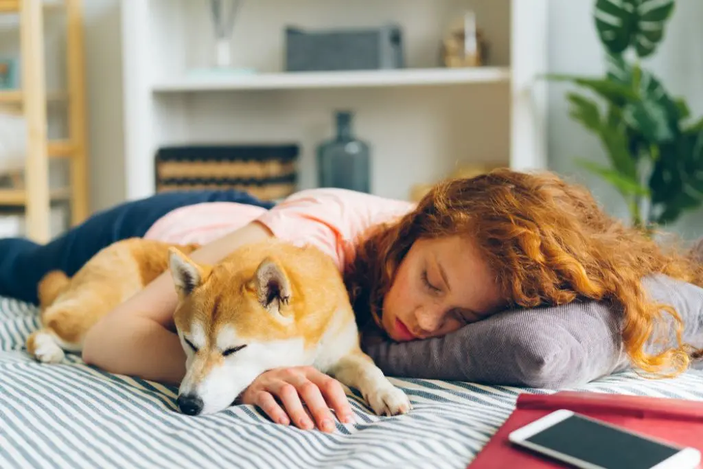 Zzz… Are Naps Good For You? - Picture Panel 3 - Desktop