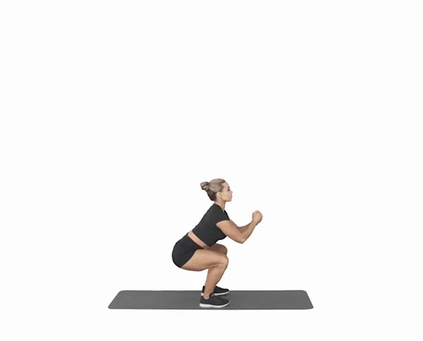 Exercise: Squat - Strength Trainer